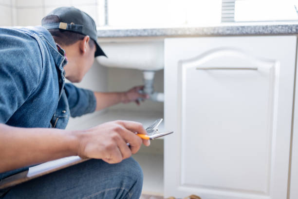 Best Drain Cleaning Services  in Laurens, IA