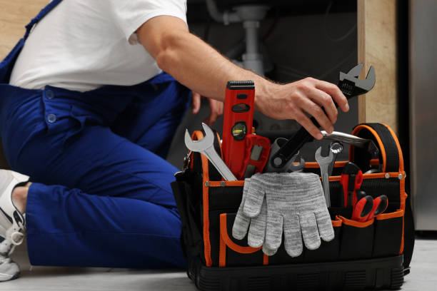 Best Local Plumber Services  in Laurens, IA